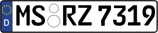 MS-RZ7319