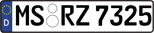 MS-RZ7325