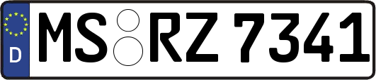 MS-RZ7341