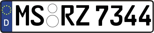 MS-RZ7344