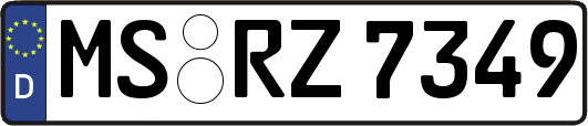 MS-RZ7349