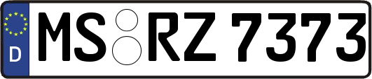 MS-RZ7373