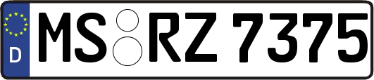 MS-RZ7375