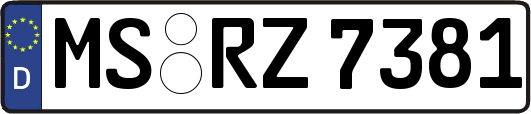 MS-RZ7381