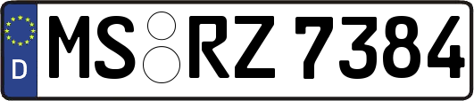 MS-RZ7384