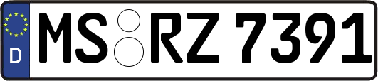MS-RZ7391