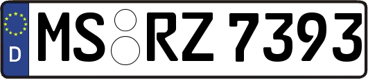 MS-RZ7393