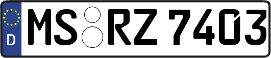 MS-RZ7403