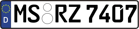 MS-RZ7407