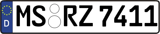 MS-RZ7411