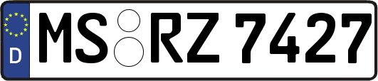 MS-RZ7427