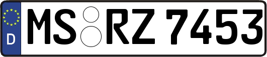 MS-RZ7453
