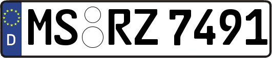 MS-RZ7491
