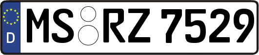 MS-RZ7529
