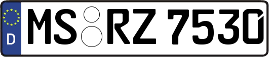 MS-RZ7530