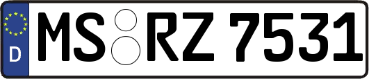 MS-RZ7531