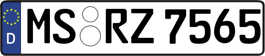 MS-RZ7565