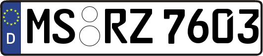 MS-RZ7603