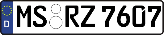 MS-RZ7607