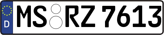 MS-RZ7613