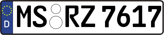 MS-RZ7617