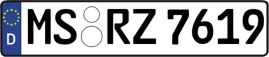 MS-RZ7619