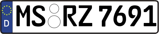 MS-RZ7691
