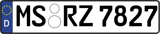 MS-RZ7827