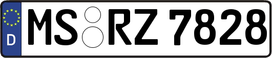 MS-RZ7828