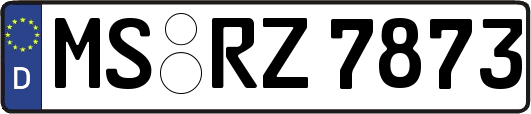 MS-RZ7873