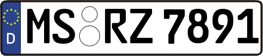 MS-RZ7891