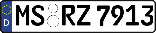 MS-RZ7913
