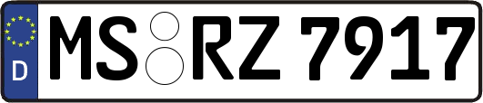MS-RZ7917