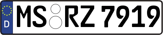 MS-RZ7919