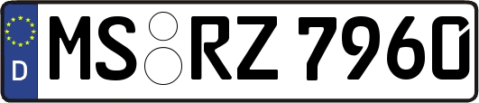 MS-RZ7960
