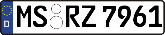 MS-RZ7961