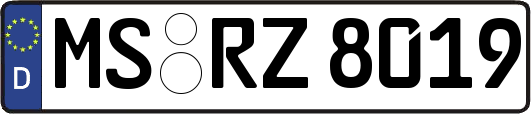 MS-RZ8019