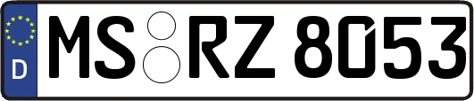 MS-RZ8053
