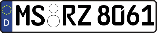 MS-RZ8061