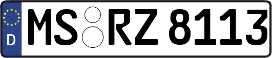 MS-RZ8113