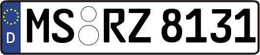 MS-RZ8131