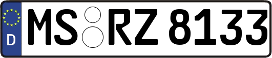 MS-RZ8133
