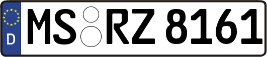 MS-RZ8161