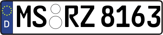 MS-RZ8163