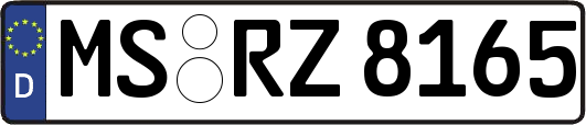 MS-RZ8165