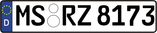 MS-RZ8173