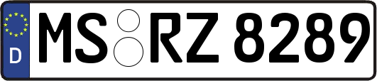MS-RZ8289