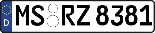 MS-RZ8381