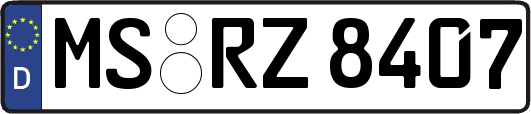 MS-RZ8407