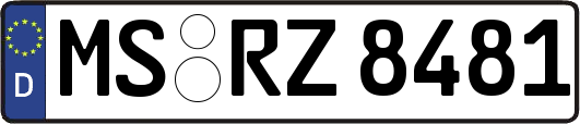 MS-RZ8481